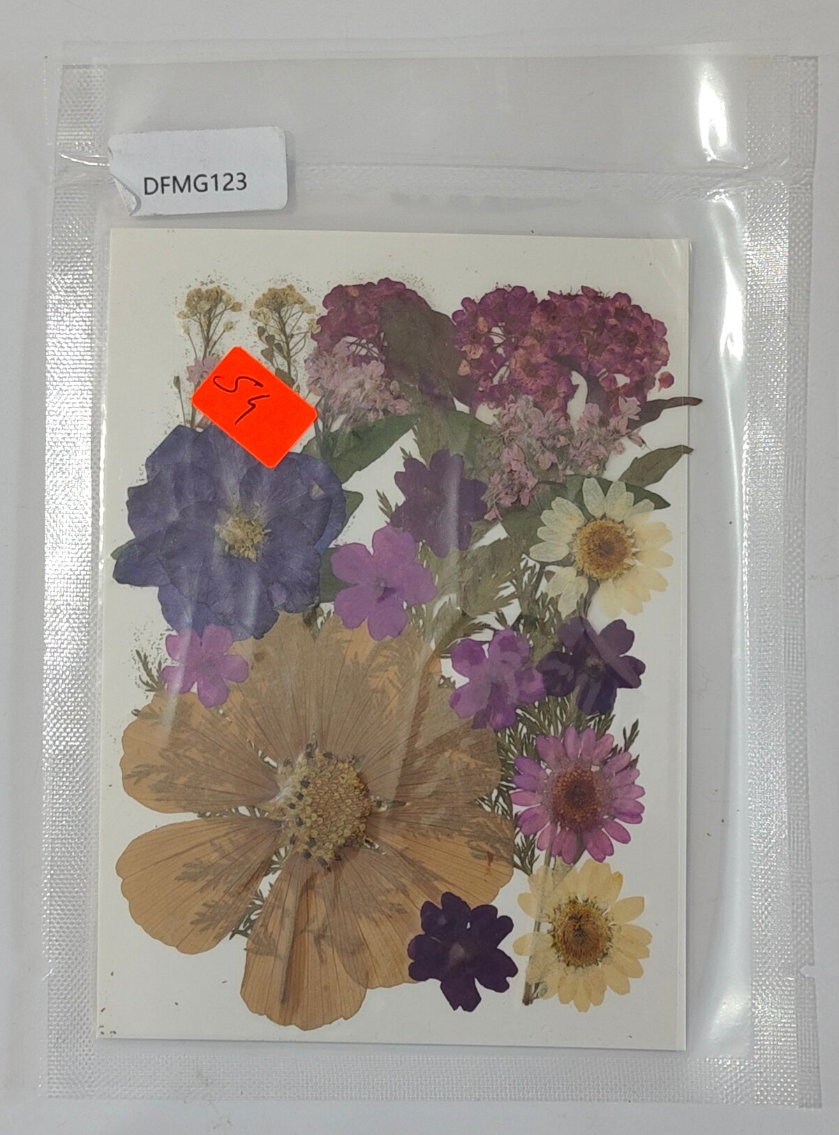 Pressed Flower Sheet