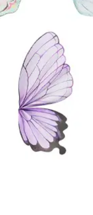 Butterfly Wing Flower
