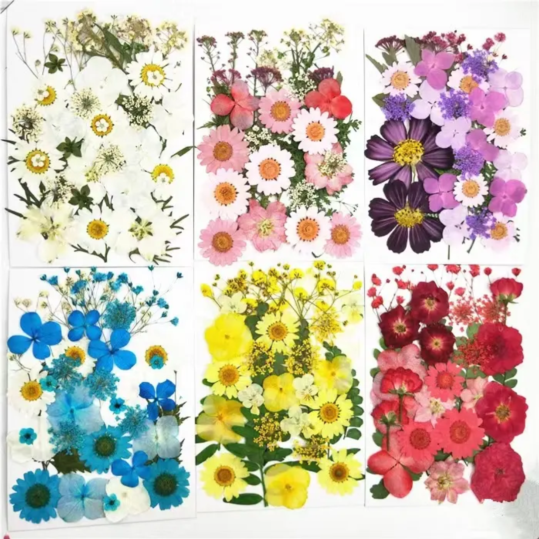 Pressed Flower Sheet