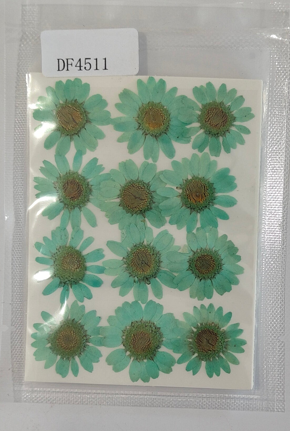 Pressed Flower Sheet