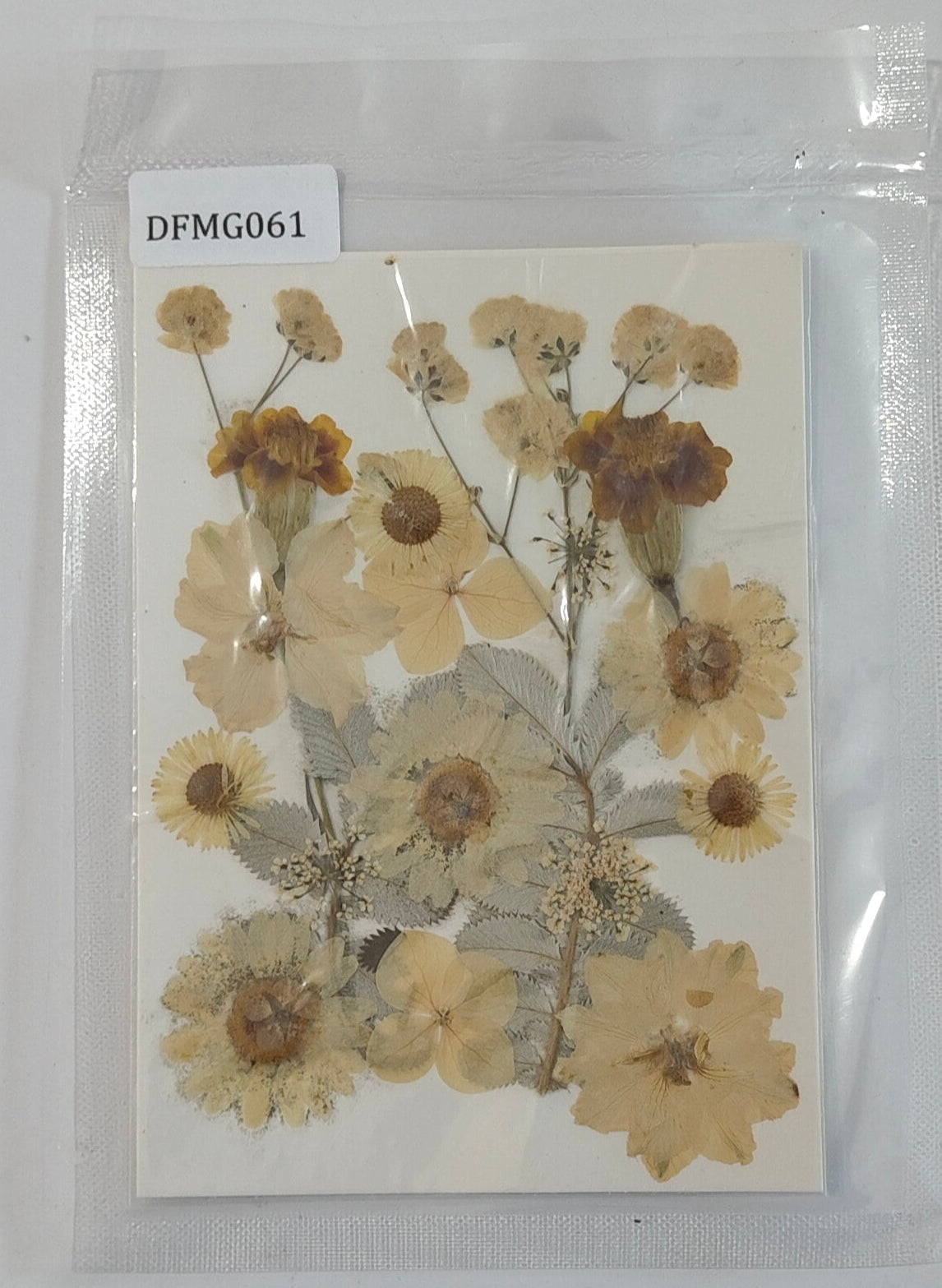 Pressed Flower Sheet