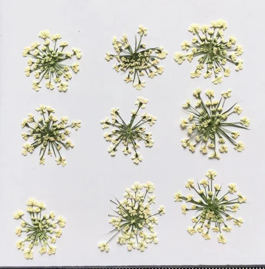 9 Flower Pressed Sheet (1 pc)