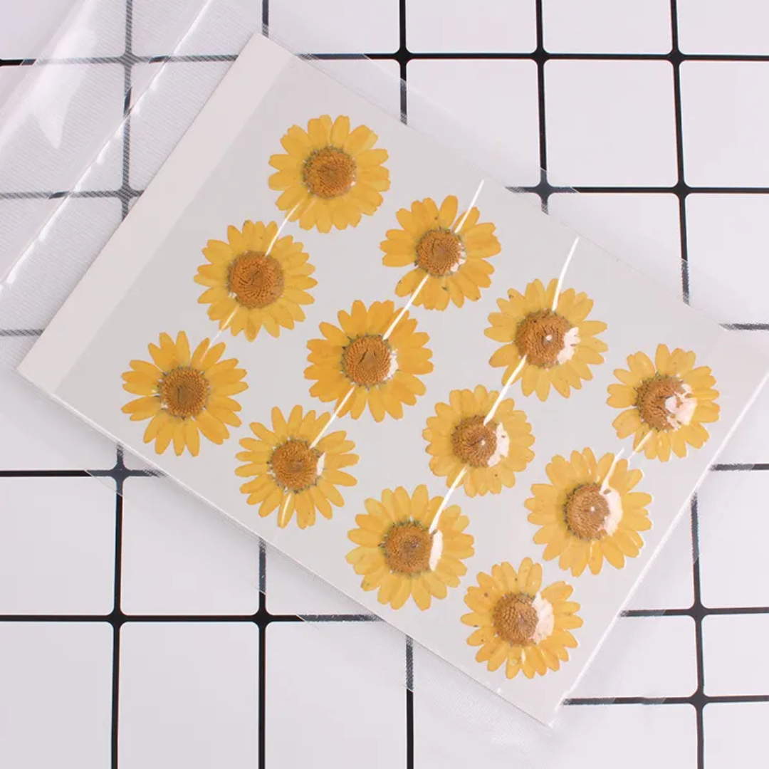 12 Flower Pressed Sheet (1 pc)