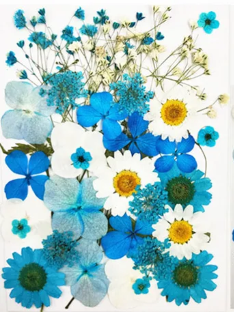 Pressed Flower Sheet