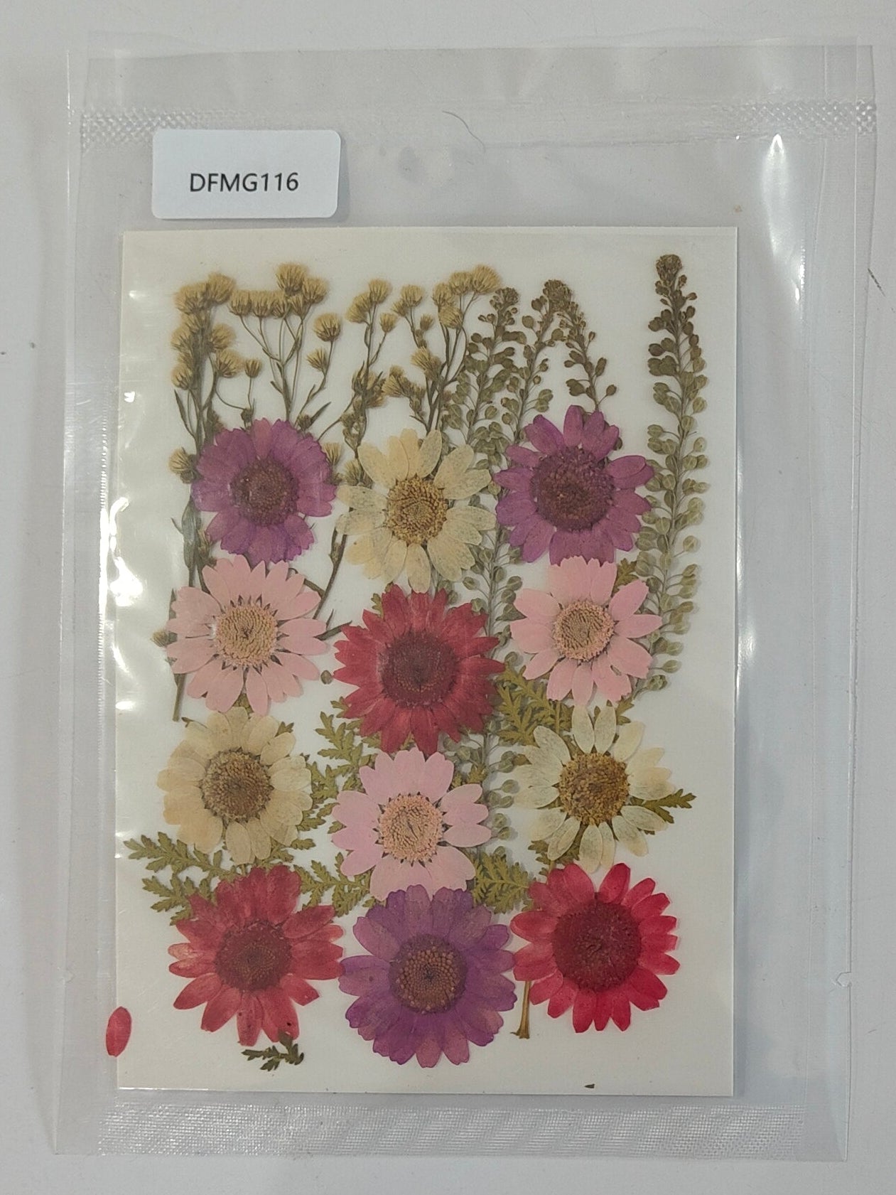 Pressed Flower Sheet