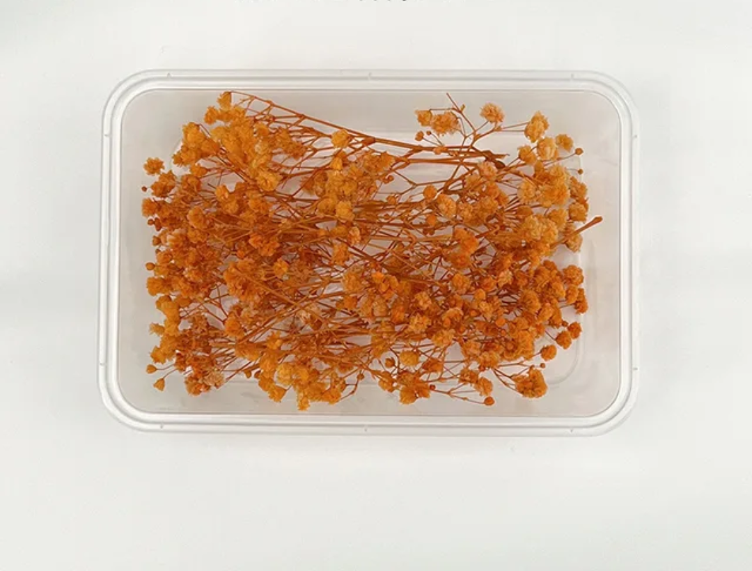 Dry Flower Box(1 pc)