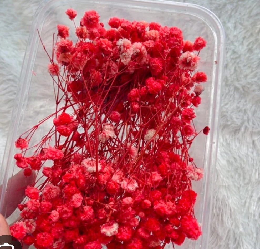Dry Flower Box (1 Pc)