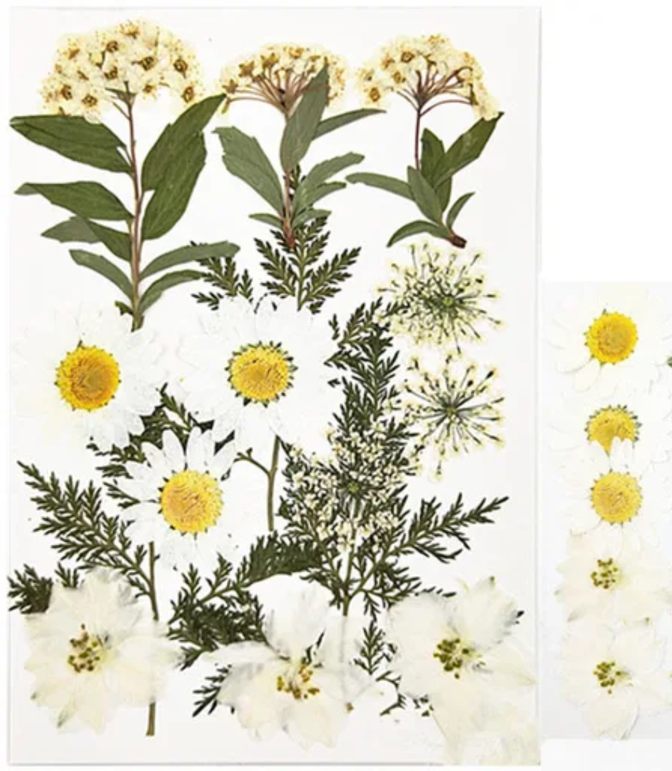 Pressed Flower Sheet