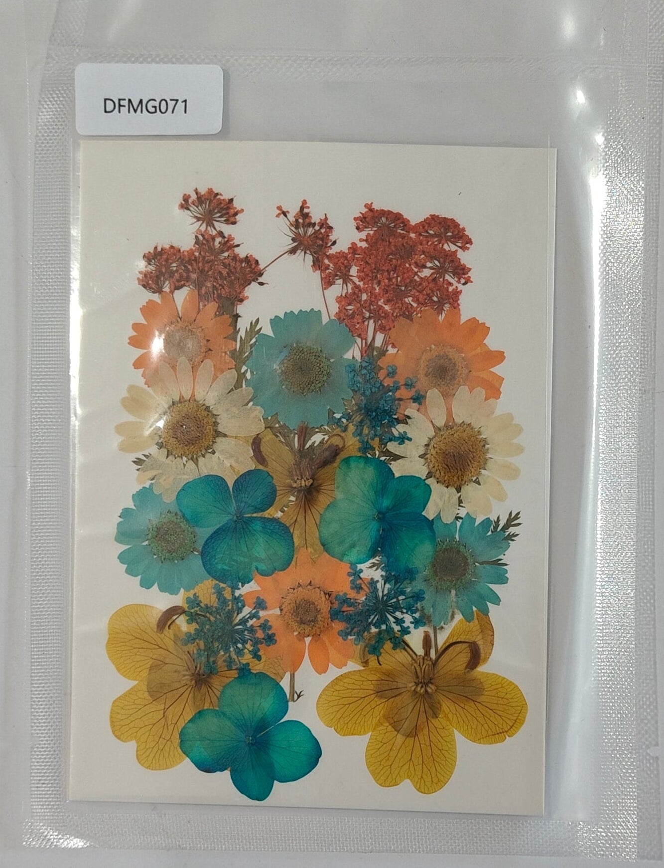 Pressed Flower Sheet