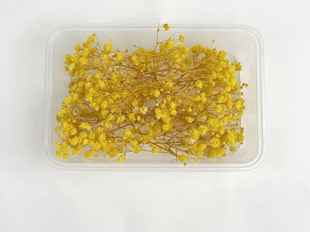 Dry Flower Box (1 pc)