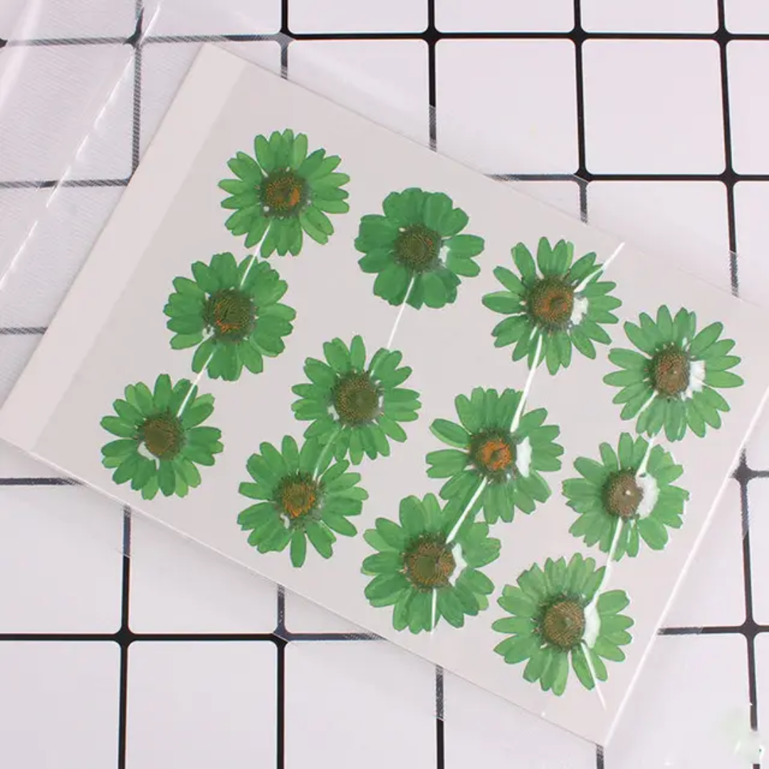 Pressed Flower Sheet