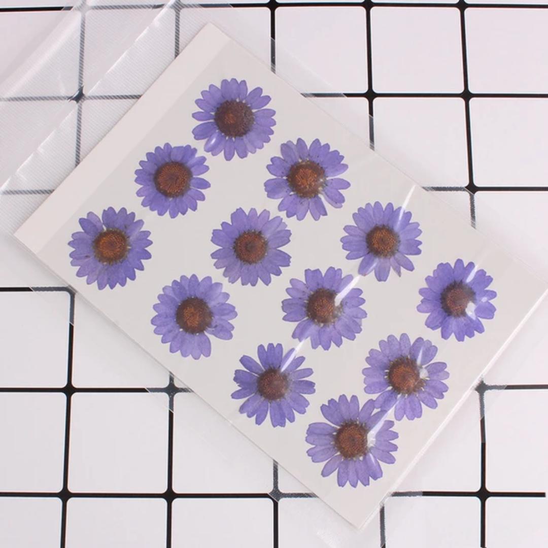 Single Color Pressed Flower