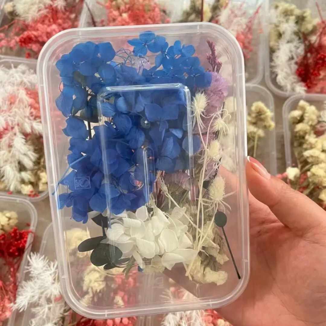 Dry Flower Box