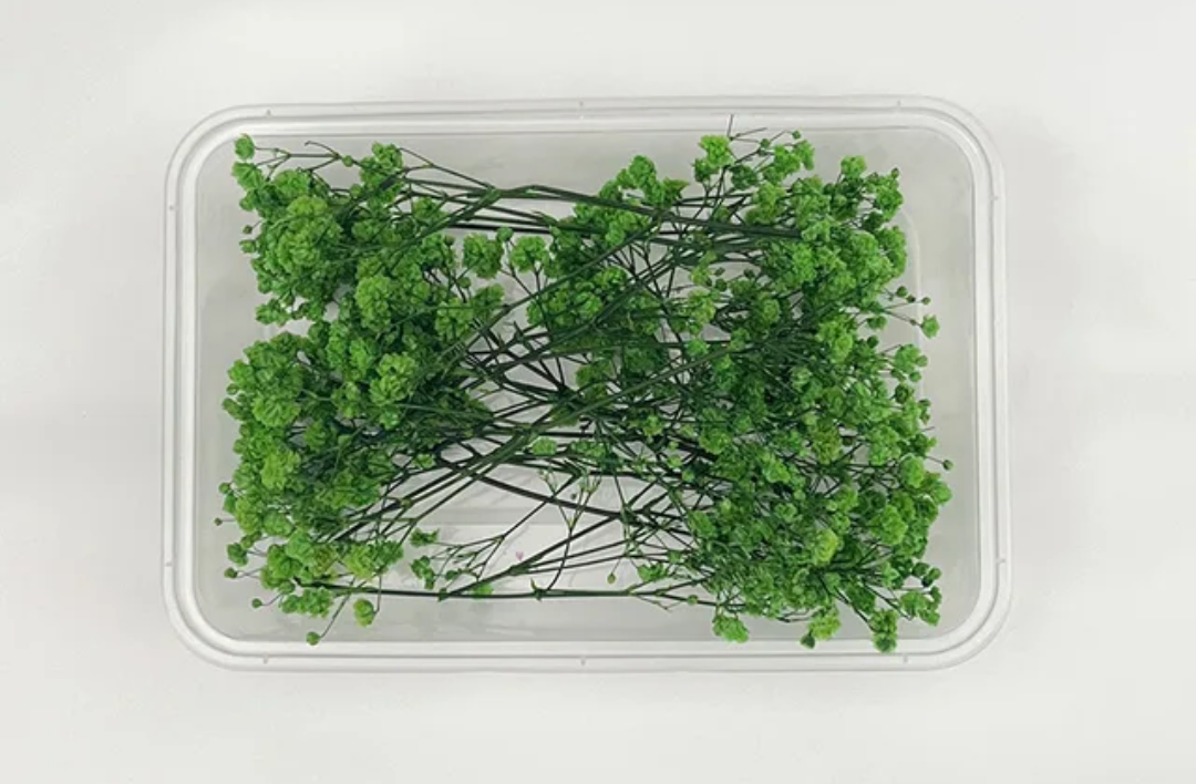 Dry Flower Box (1 pc)