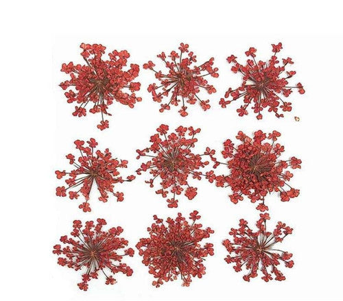 9 Flower Pressed Sheet (1 pc)