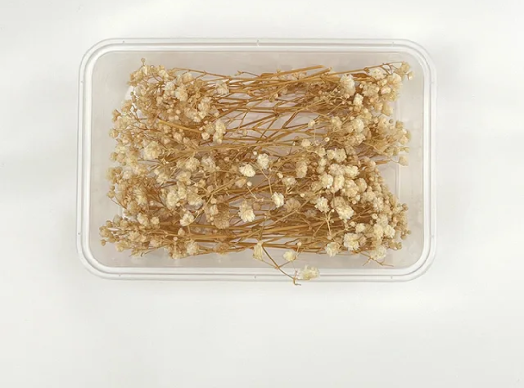 Dry Flower Box (1 pc)