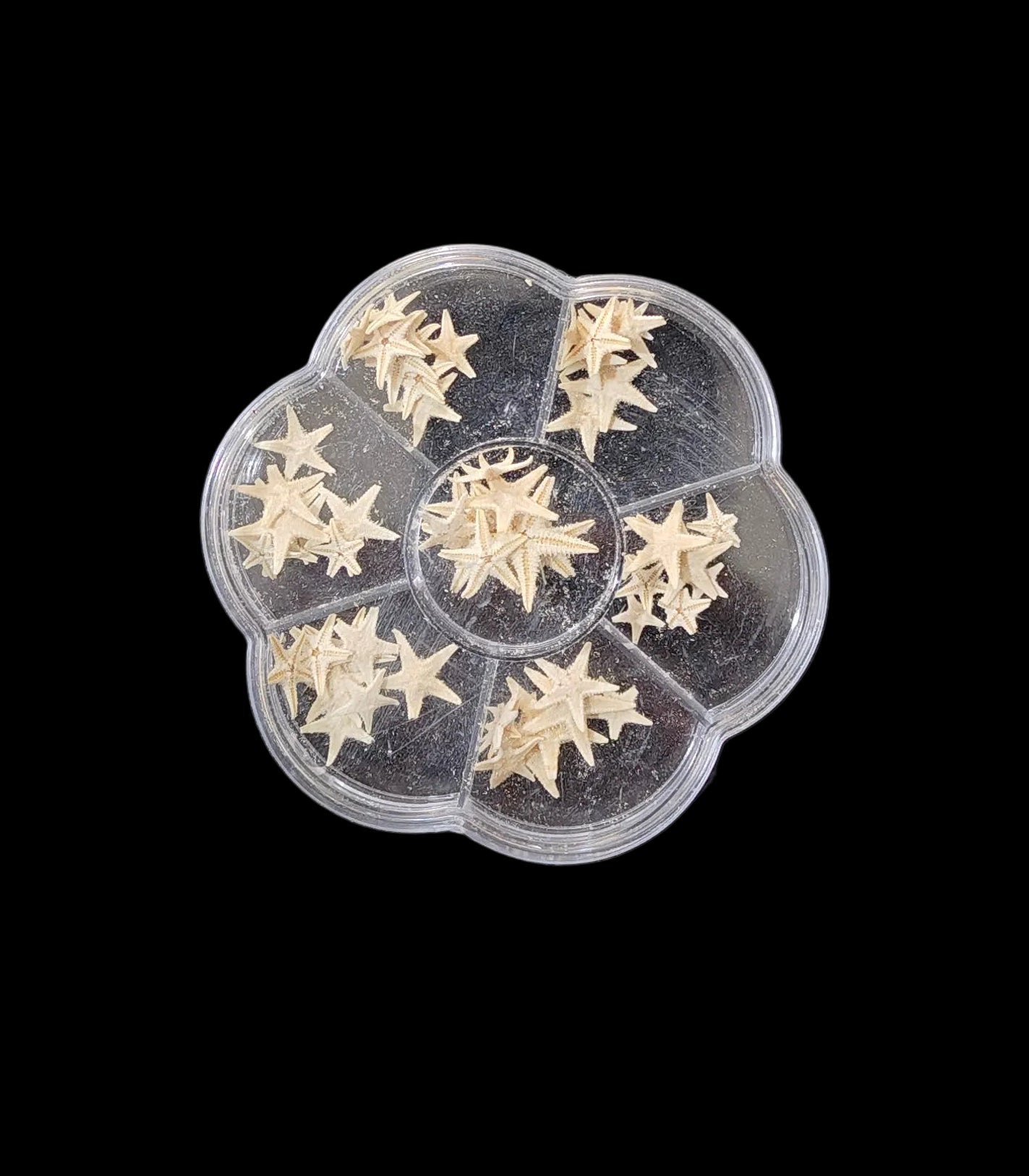 7 in 1 Star Fish Small