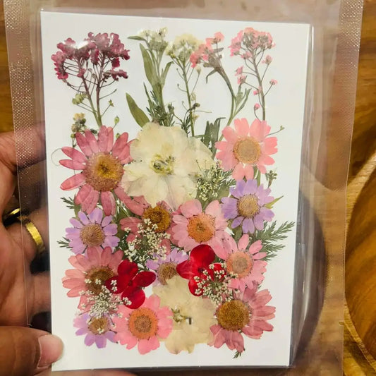 Pressed Flowers Mixed Assorted 1
