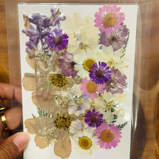 Pressed Flowers Mixed Assorted 2