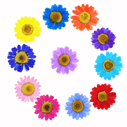 Single Color Pressed Flower