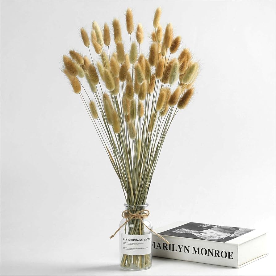Pampass Grass (1 Bunch )