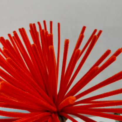 Pipe Cleaner (100 Pc)