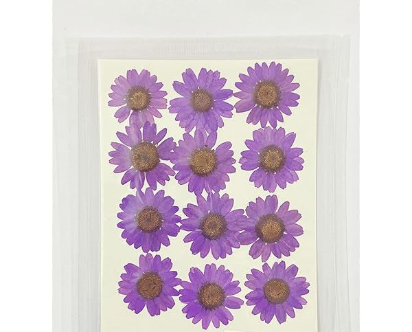 12 Flower Pressed Sheet (1 pc)