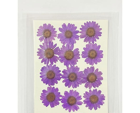 12 Flower Pressed Sheet (1 pc)