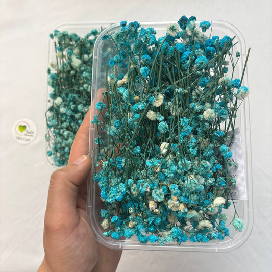 Dry Flower Box (1 pc)
