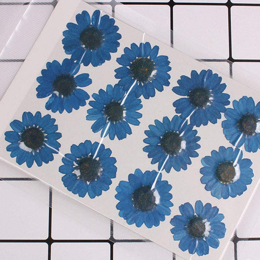 9Flower Pressed Sheet (1 pc)