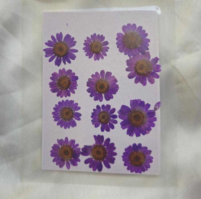 12 Flower Pressed Sheet (1 pc)