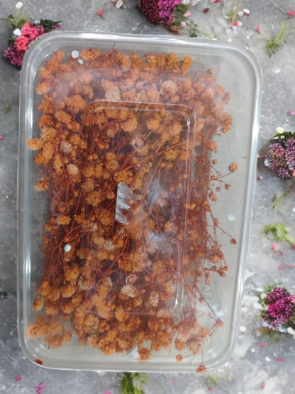 Dry Flower Box (1 pc)