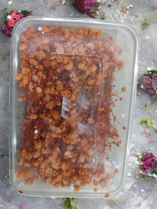 Dry Flower Box (1 pc)