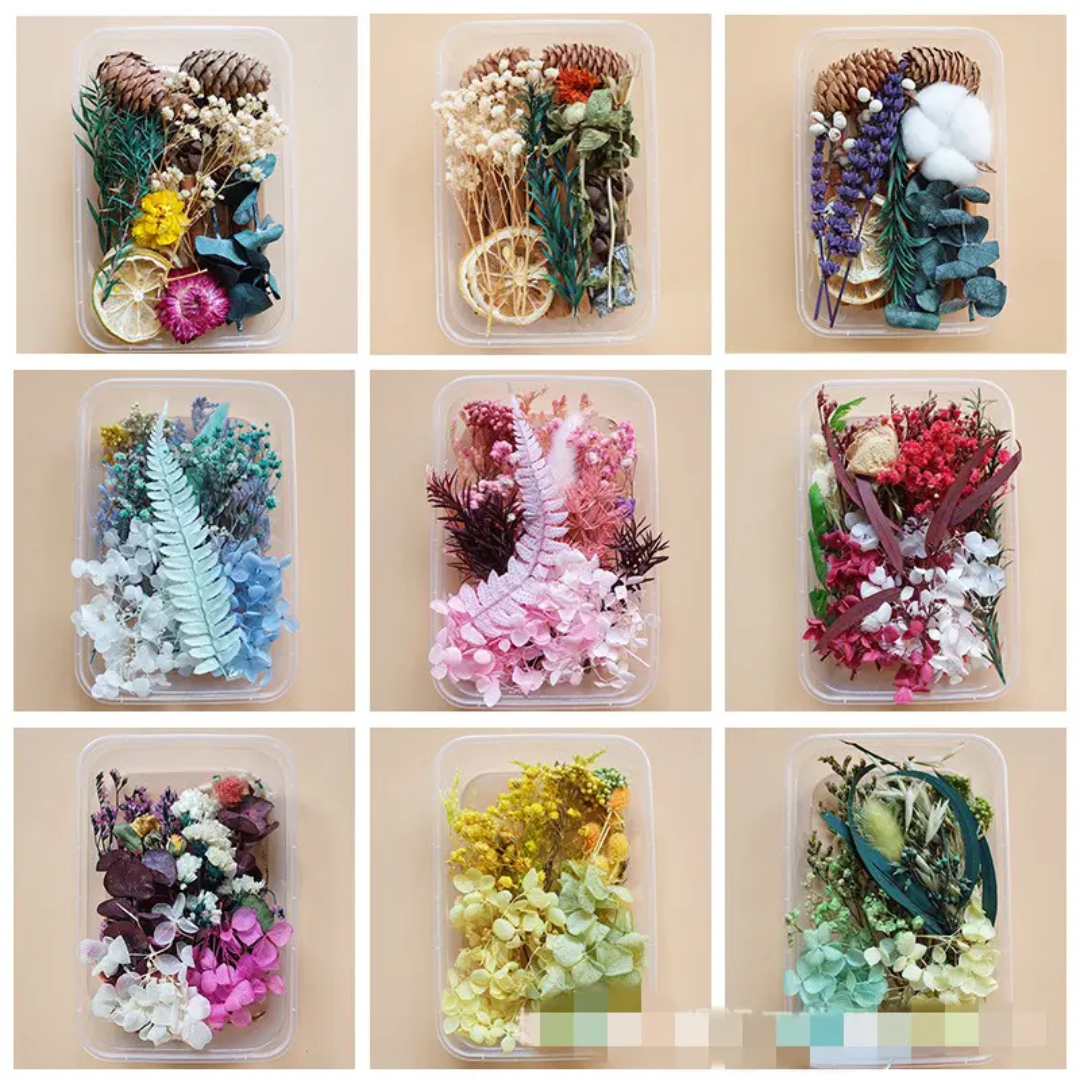 Dry Flower Box