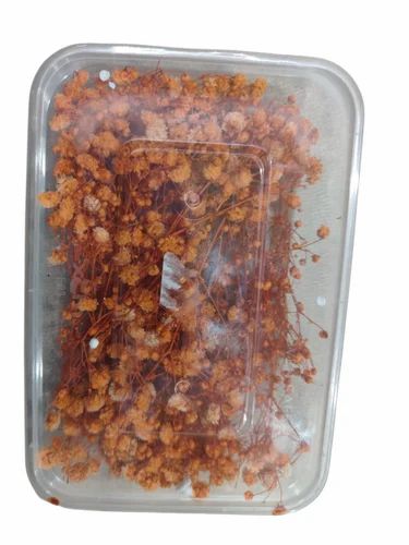 Dry Flower Box (1 pc)