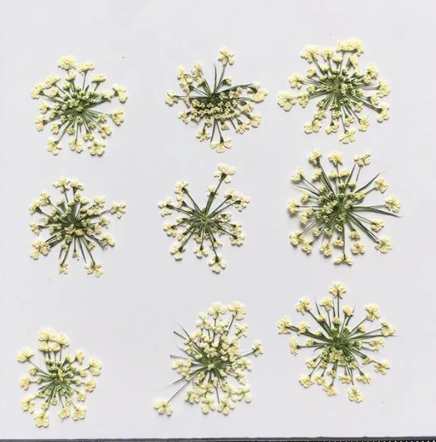 9 Flower Pressed Sheet (1 pc)