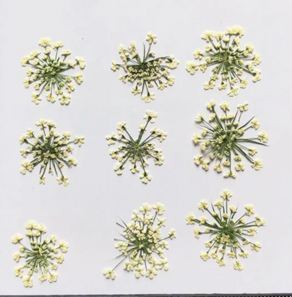 9 Flower Pressed Sheet (1 pc)