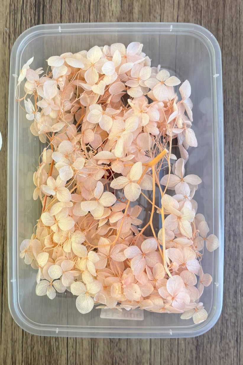 Dry Flower Box (1 pc)