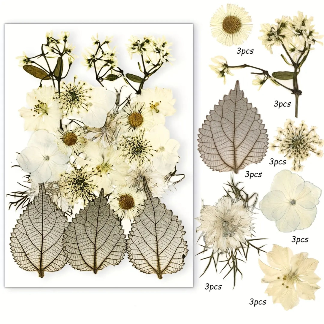 Pressed Flower Sheet