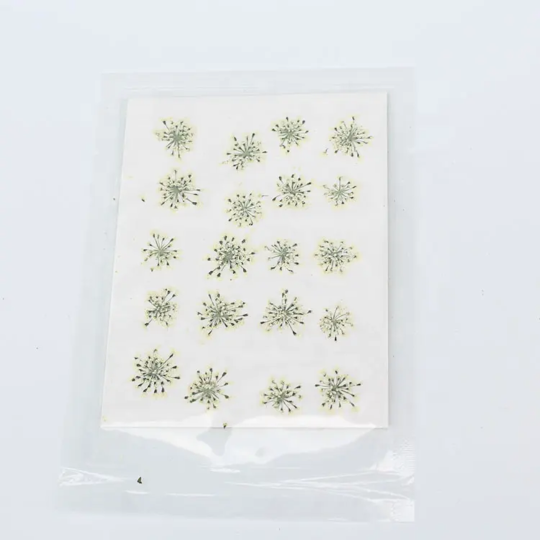 Pressed Flower Sheet