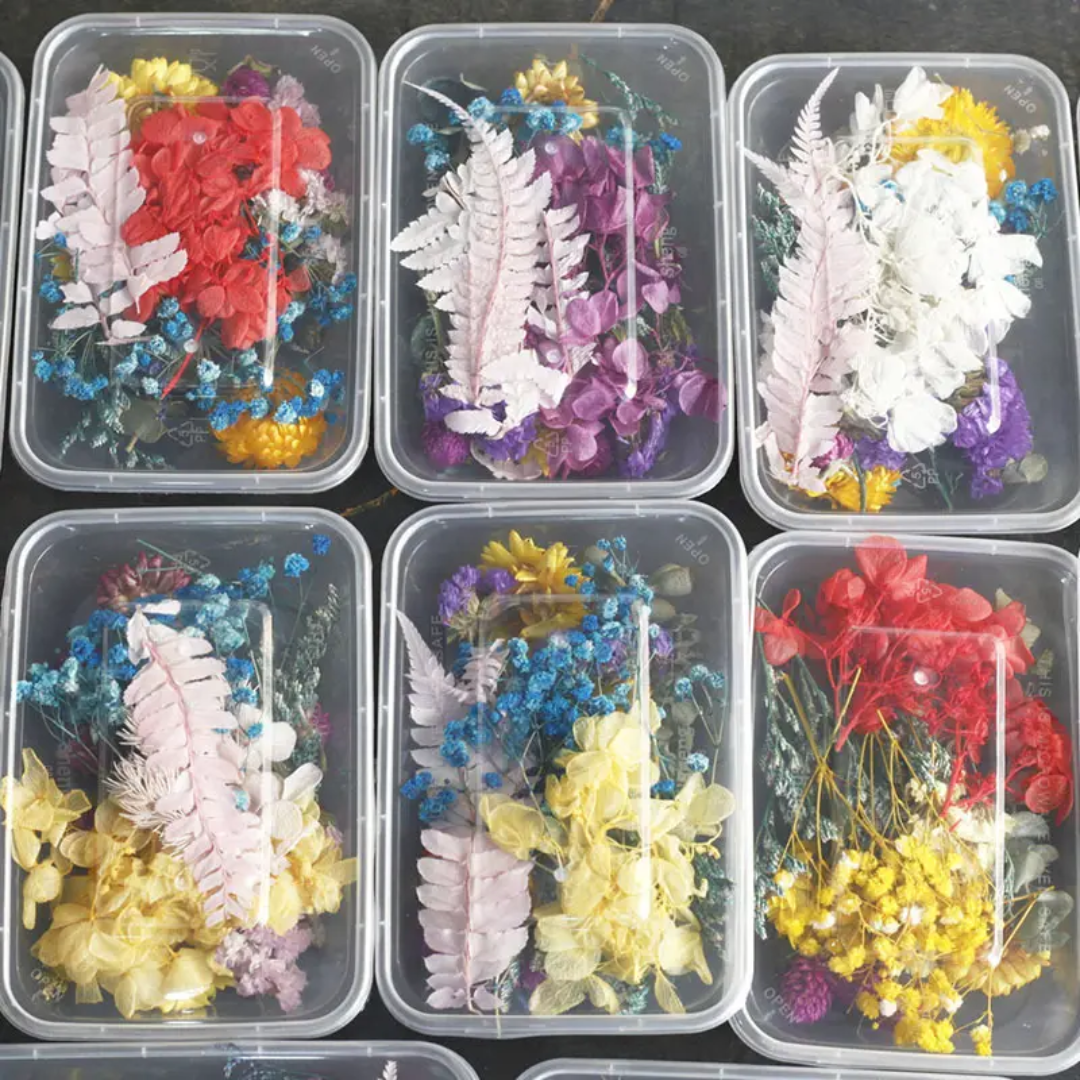Dry Flower Box