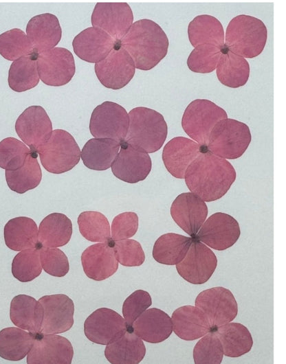 12 Flower Pressed Sheet (1 pc)