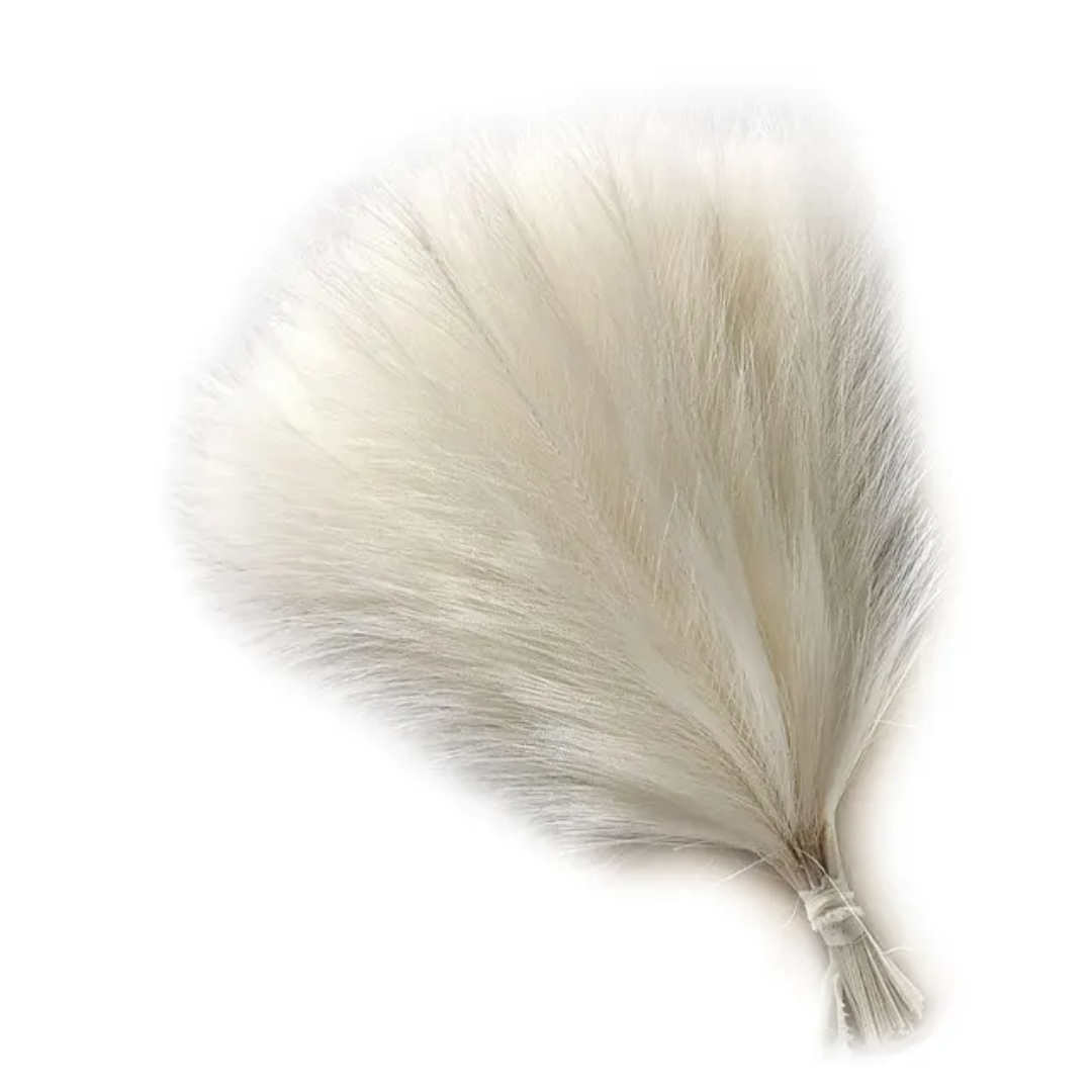 Mini Pampas White Bunch (10 Sticks)