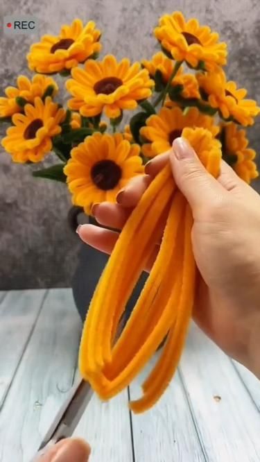 Pipe Cleaner