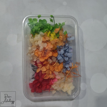 Multicolor Dry Flower Box (1 pc)