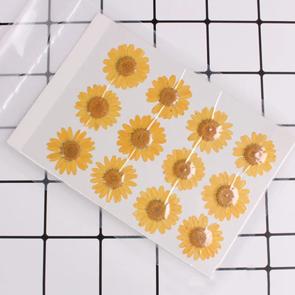 Single Color Pressed Flower