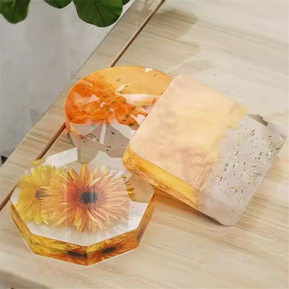 3 in 1 Coaster Mould (1 pc)