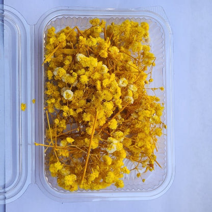 Dry Flower Box (1 pc)