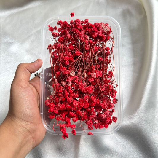 Dry Flower Box (1 pc)