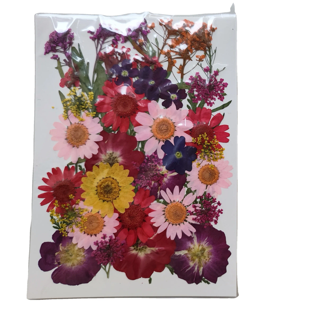 Pressed Flower Sheet
